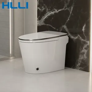 HLLI Chinese Toilet Automatic Flushing Toilets Elongated Bathroom Bidet Seat Smart Toilet