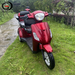 Scooter à 3 roues pour adultes Gaea, prix de gros, moteur 60V 500W - Product Image 1