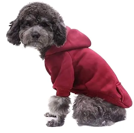 Mascota Otoño/Invierno con capucha bolsillo dos patas estilo deportivo ropa para perros y gatos