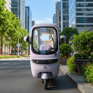 รถสามล้อแบบเปิดหลังคา 2 ที่นั่ง ทนทานต่อสภาพอากาศ ได้รับการรับรองมาตรฐาน DOT: ยานพาหนะเชื่อถือได้สำหรับรีสอร์ทริมทะเลและหน่วยลาดตระเวนชายหาด - Product Image 2