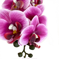 Orchidée Phalaenopsis Artificielle à 8 Têtes, Fleur en PVC Souple Effet Réel, Décoration Maison Européenne, Centre de Table Mariage Fête des Mères, Vente en Gros