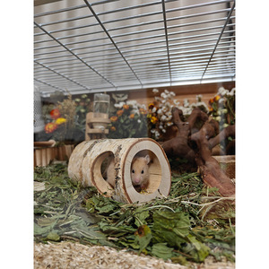 Aluminum Profile Hamster Cage Rectangle Secure Transparent Pet Enclosure Multipurpose Floral Design - Product Image 3
