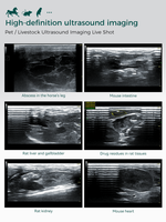 Échographe Doppler Couleur Vétérinaire Periodmed : Imagerie HD pour le dépistage abdominal, cardiaque et des tissus mous chez les petits animaux