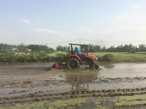 High Quality Energy Saving Professional <b>Cultivators</b> Mini Tiller Rotary Rotary Tiller Tractor For Wholesales - Product Image 6