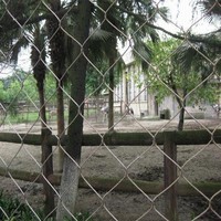 Échantillon gratuit Bonne transparence Zoo barrière filet de sécurité en maille pour l'attraction des animaux