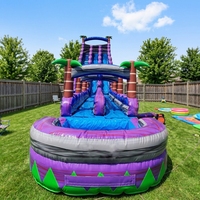 Toboggan aquatique gonflable commercial à double piste avec longue glissière, toboggan aquatique tropical palmier avec piscine, aire de jeux extérieure
