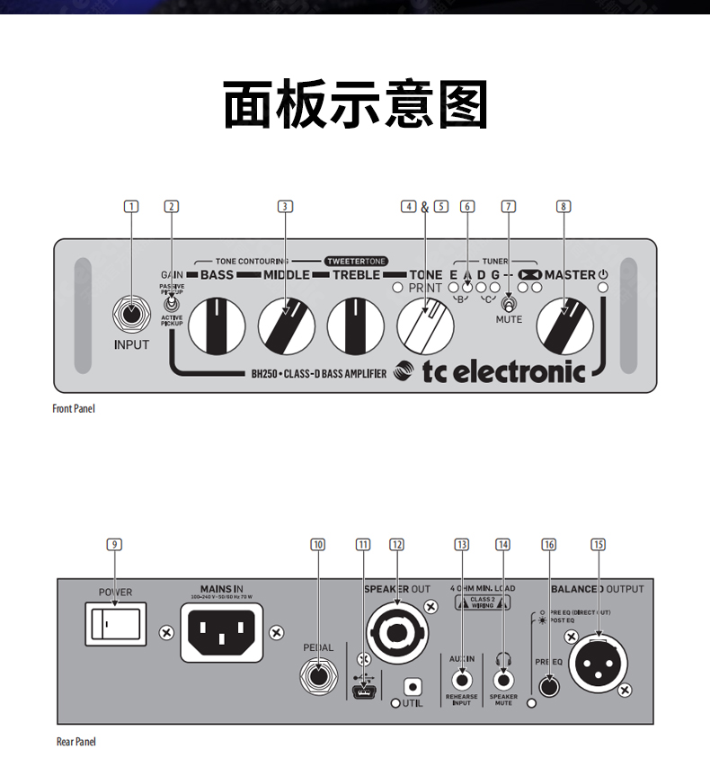 TC Eletronics BH250 Amplificador de potência de baixo Caixa