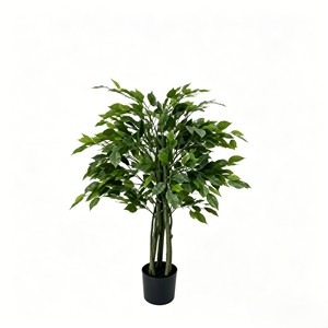 Majestuoso bonsái de árbol de banyan preservado con raíces aéreas para rincón zen y acento de paisaje tropical - Product Image 1