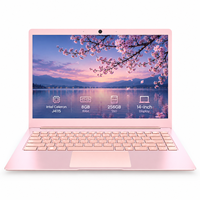Laptop PC Rose Gold 14 Inch Intel Celeron J4115 RAM 8GB SSD 256GB Layar FHD IPS Notebook Tipis untuk Kerja Belajar Grosir OEM ODM