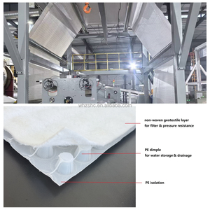 Ligne de production de plaques de drainage 3D en HDPE, LLDPE, EVA, pour géotextiles non tissés enduits, avec extrudeuse monovis haute vitesse 2m 3m - Product Image 2