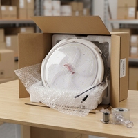 Lampe solaire de plafond extérieure durable et flexible, économe en énergie pour usage domestique