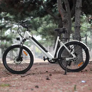 가장 저렴한 가격 여성 전자 자전거 숙녀 ebike 전기 자전거 소녀 전기 하이브리드 도시 산악 도로 자전거 ebike 성인용