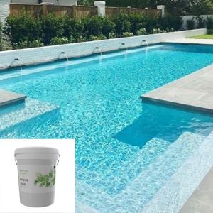 Revêtement de piscine à base d'eau Eco-Safe pour une protection de surface et une longévité améliorées - Product Image 2