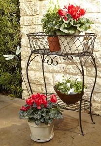 Soporte de Metal Vintage para Plantas con Dos Niveles, Decorativo para Interiores y Exteriores, Exhibidor de Macetas para Jardín, Patio o Balcón - Product Image 2
