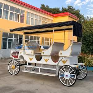รถม้าชมวิวไฟฟ้าจากโรงงานโดยตรง รถม้าไฟฟ้าปรับแต่งได้ รถม้าไฟฟ้า - Product Image 5