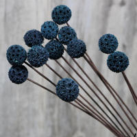 Ornements de décoration de la maison fleurs naturelles séchées fruits d'érable passepartout fleurs sèches éternelles