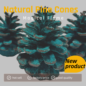 هيها مخاريط صنوبر طبيعية مع مسحوق نار سحري مزيج مثالي لملحقات التخييم والحفلات النارية النارية السحرية - Product Image 6