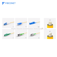 Pigtail Fibre Optique Haute Qualité 12 Cœurs Monomode LC UPC LZH/PVC TDM 900 0.9mm pour FTTH