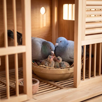 Cage à pigeons en bois de marque CT, nichoir pour l'élevage et l'accouplement des pigeons de course, fournitures écologiques pour colombiers, cage à pigeons, cage à oiseaux