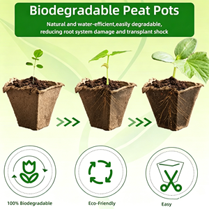 DaringFish Plateau de semis carré biodégradable 20x12 alvéoles + 20x étiquettes pour plantes + 1x kit de jardinage avec piqueur - Product Image 6