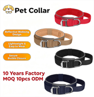 Collier pour chien réglable, confortable et moderne, en polyester, pour les grandes races, adapté à l'entraînement en extérieur, toutes saisons