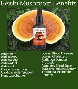 OEM Flüssigkeits tropfen von Noo tropics <span class=keywords><strong>Brain</strong></span> Mushroom Complex Adult Anwendbarer Reishi Shiitake Lions Mane Extract - Product Image 3