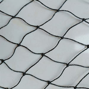 <span class=keywords><strong>Filet</strong></span> <span class=keywords><strong>anti</strong></span>-<span class=keywords><strong>chute</strong></span> en nylon transparent HDPE avec fil métallique <span class=keywords><strong>Filet</strong></span> de protection <span class=keywords><strong>pour</strong></span> <span class=keywords><strong>chat</strong></span> de balcon <span class=keywords><strong>Filet</strong></span> de sécurité <span class=keywords><strong>anti</strong></span>-UV <span class=keywords><strong>pour</strong></span> fenêtre de <span class=keywords><strong>chat</strong></span> - Product Image 4