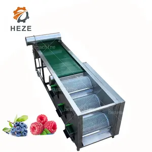 Cherry Phân Loại Máy/Blueberry SORTER/Blueberry Phân Loại Máy