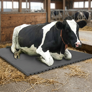 <b>Heavy</b> <b>Duty</b> <b>Rubber</b> Cow <b>Mat</b> Anti Slip Dairy Cattle Stall Flooring Livestock Barn Comfort Floor <b>Mat</b> for Farm Cow Shed Factory - Product Image 4