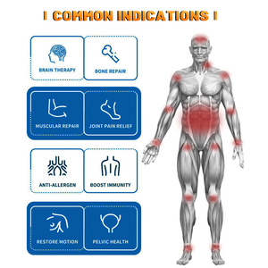 Máquina PEMF para Alivio del Dolor Corporal, Tapete Magneto PEMF para Fisioterapia, Dispositivo PEMF de Bucle para Terapia del Dolor en Caballos - Product Image 6