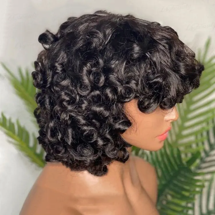 malaysian curly lace wig