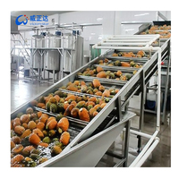 Productielijn voor gemengde mango-ananas sap, HPP aseptische vulling, mango-ananas verwerkingsmachine