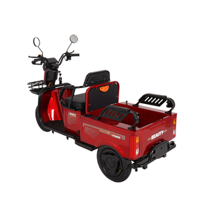 Vente flash <span class=keywords><strong>Moto</strong></span> électrique à batterie au plomb <span class=keywords><strong>3</strong></span> <span class=keywords><strong>roues</strong></span> Tricycle électrique pour adultes pour la famille - Product Image 5
