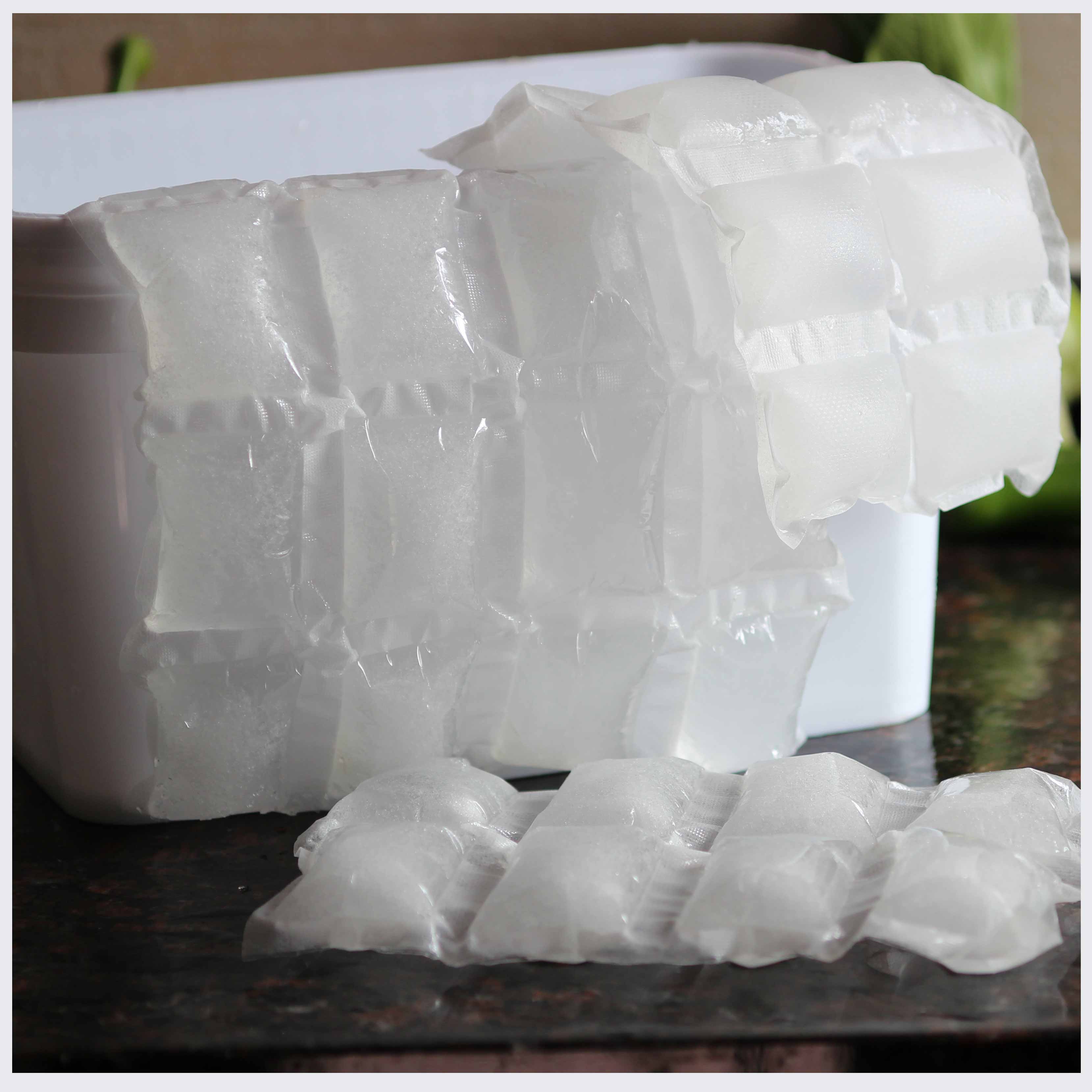 Wholesale 24 Cells Dry Ice Pack Sheets Ice Cube Plastic Bags Disposable Biological Ice Packs For Shipping Food