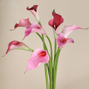 Fleurs artificielles de lys calla en EVA de haute qualité, aspect réaliste, lys calla blancs pour mariage, fête, décoration de la maison - Product Image 4