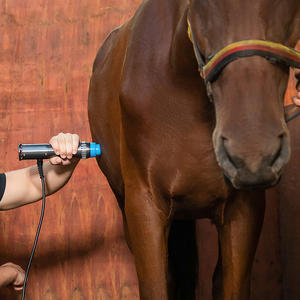 Medis Eswt penghilang nyeri <span class=keywords><strong>Shock</strong></span> gelombang mesin fisioterapi untuk kuda hewan perawatan nyeri - Product Image 2