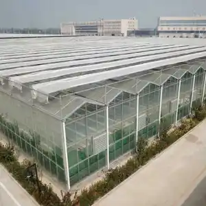 Agricolo proteggere quattro stagioni serra di vetro made in China