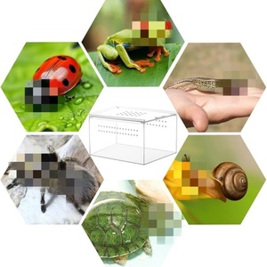 Wholesale Custom Clear Luxury Design for Acrylic Reptile <b>Terrarium</b> <b>Insect</b> Cage Tank Box with Lid Made in USA - Product Image 2