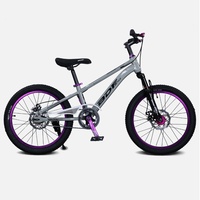 Vélo de montagne pour enfants populaire de 18/20/22 pouces avec frein à disque pour garçons et filles avec pédale ordinaire