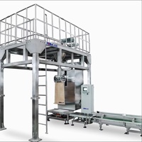 Ligne de remplissage et de conditionnement de matériaux liquides en sacs tonnables, fabriquée en usine, avec fonctions de scellage, système automatique, entraînement pneumatique 220V/380V