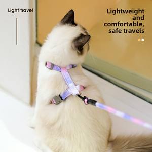 Arnés Personalizado al por Mayor para Perros Pequeños y Gatos, Ajustable, con Cambio Gradual, Sin Tirones - Product Image 2