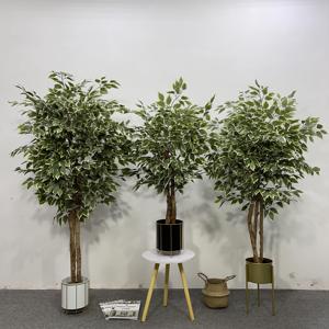 Bonsái Artificial de Plástico, Árbol de Banyan de Alta Calidad, Simulación de Árbol Verde en Maceta para Interiores, Sala de Estar, Jardín - Product Image 5