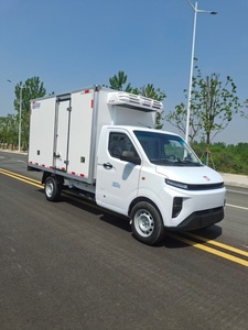 Camioneta <span class=keywords><strong>Refrigerada</strong></span> Eléctrica Geely F1E, Mini Camión de Carga Ligera para Transporte de Alimentos y Medicamentos en Cadena de Frío, Disponible con Volante a la Izquierda y Derecha - Product Image 1