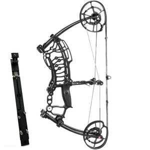 Juego completo de arco compuesto de polea de arco de bola de acero de doble propósito con envío gratis 10 piezas - Product Image 1