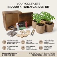 Mini boîte en bois semis plante d'intérieur herbe jardin herbe démarreur Kit de culture en gros bonsaï Kit de démarrage