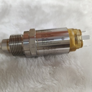 Interruptor de Nivel de Punto Liquiphant FTL31 de Diseño Compacto, Detección de Nivel Vibratorio para Carcasa de Acero Inoxidable FTL31-AA4U2AAWBJ - Product Image 2
