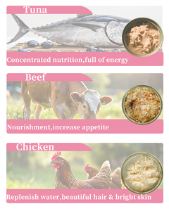 Katzenfutter in Dosen Großhandel 400g Nassfutter für Katzen Bestseller Huhn Thunfisch Lachs Lieferant Hersteller OEM ODM OBM - Product Image 6