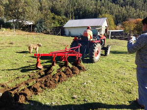 Mini-<span class=keywords><strong>tracteur</strong></span> diesel 15-20 CV <span class=keywords><strong>pour</strong></span> usage agricole, cultivateur de jardin, attelage 3 points, <span class=keywords><strong>charrue</strong></span> à sillons, motoculteur agricole à vendre - Product Image 4