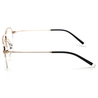 Monturas de Gafas para Hombre de Titanio Ligero con Doble Puente y Entrega Rápida