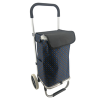 Fabricant de chariots de courses pliables, panier et chariot de courses en aluminium pour charges lourdes, moins cher